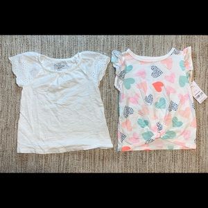 Girls 2t shirt lot